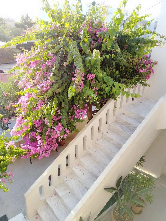Irini Apartments Platanias  Ngoại thất bức ảnh