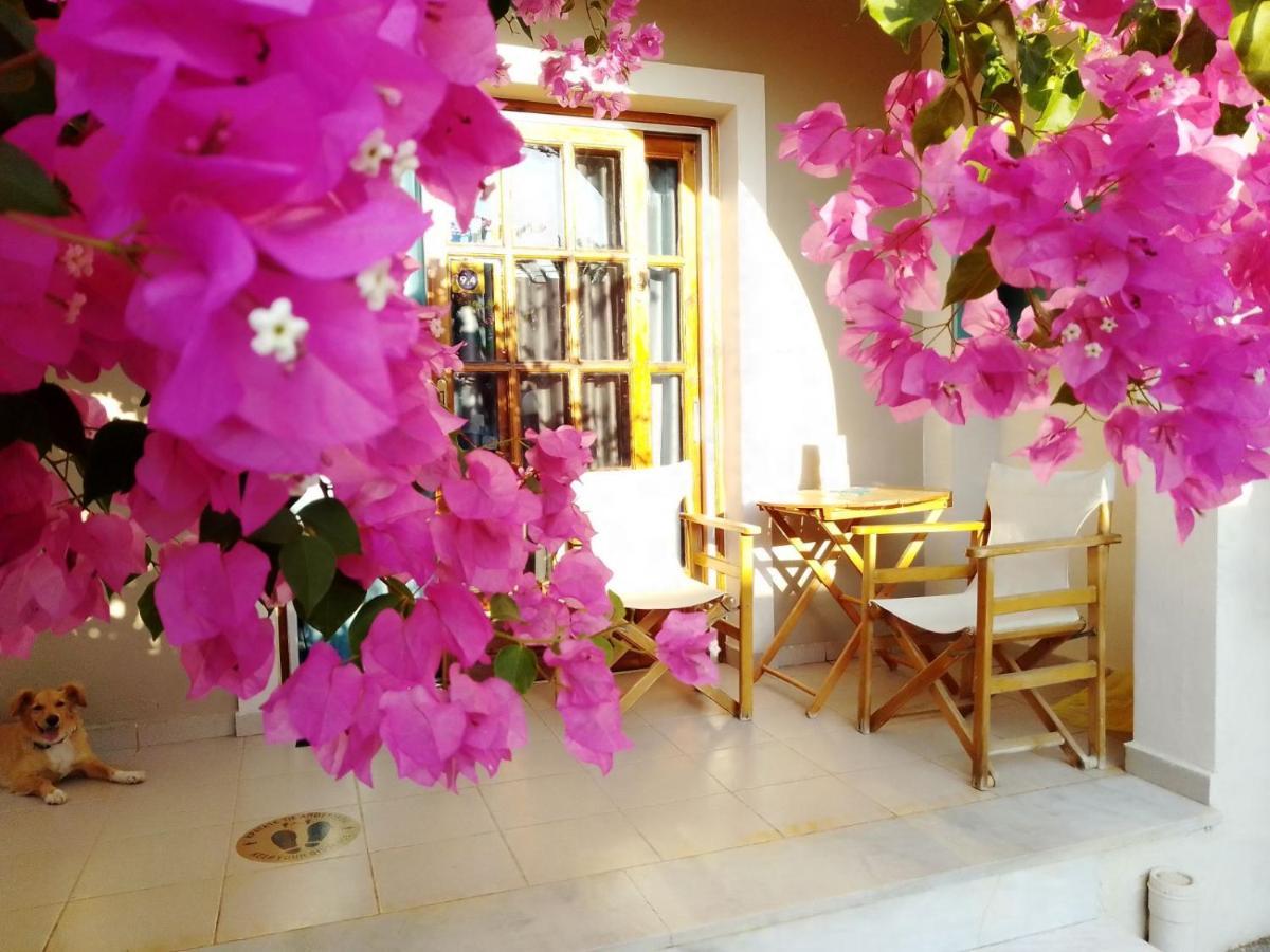 Irini Apartments Platanias  Ngoại thất bức ảnh